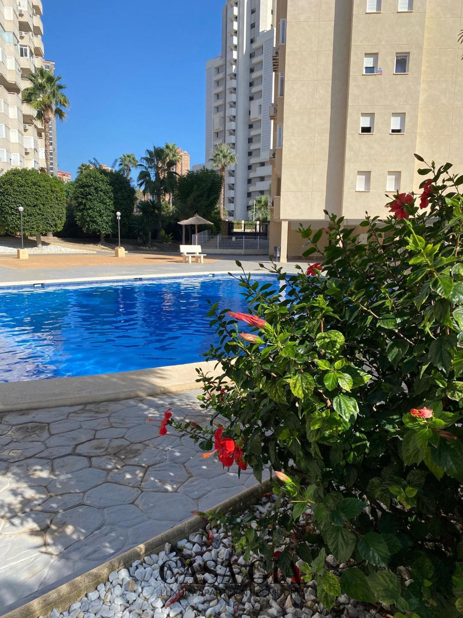 Casa Gia L Luxury Apartment Benidorm Exteriör bild